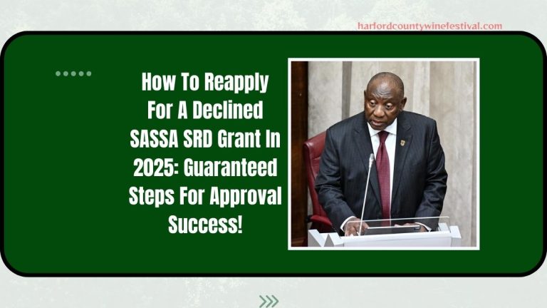 How To Reapply For A Declined SASSA SRD Grant In 2025: Guaranteed Steps For Approval Success!